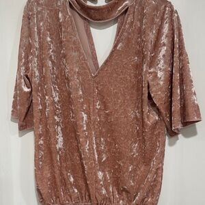 Veronica M Velvet Top in Blush Pink